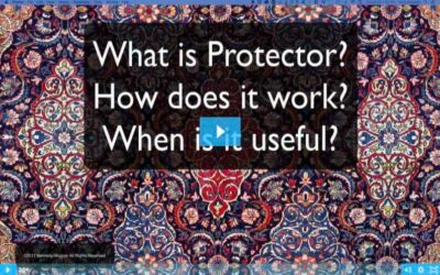 WHAT IS PROTECTOR?